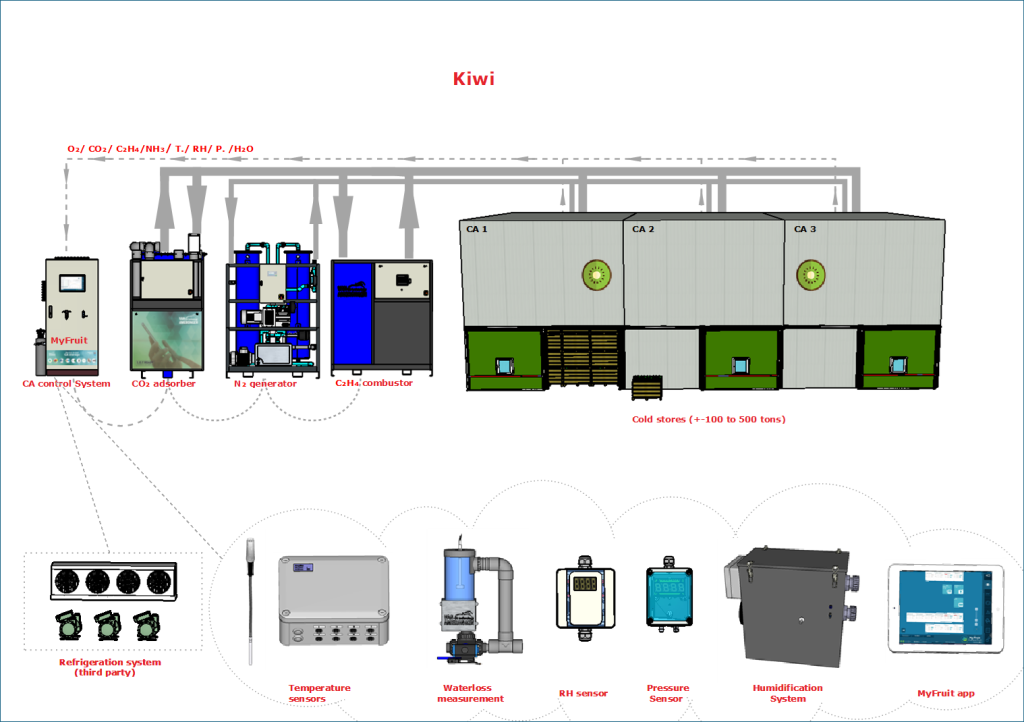 CA solution for kiwi fruits