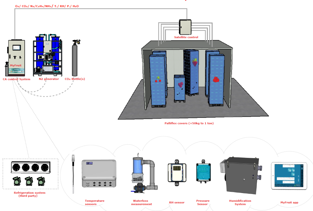 CA Palliflex solution for blueberries, cherries, grapes and red currants