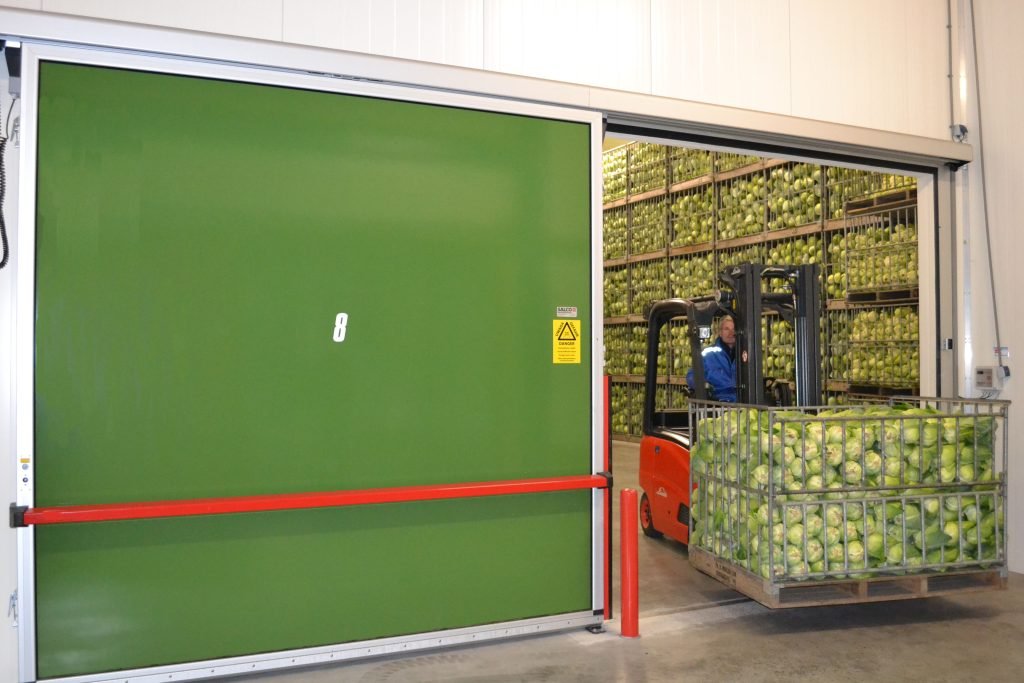 cabbage in CA stores